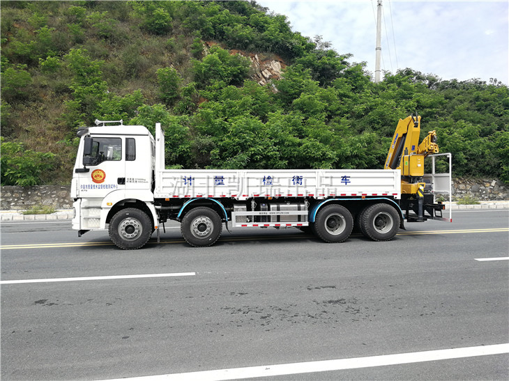 �S�����|���O���z�yԇ���ęz��܇����